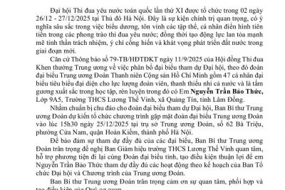 Nguyễn Trần Bảo Thức – Niềm tự hào Trường THCS Lương Thế Vinh tại Đại hội Thi đua Yêu nước toàn quốc lần thứ XI năm 2025